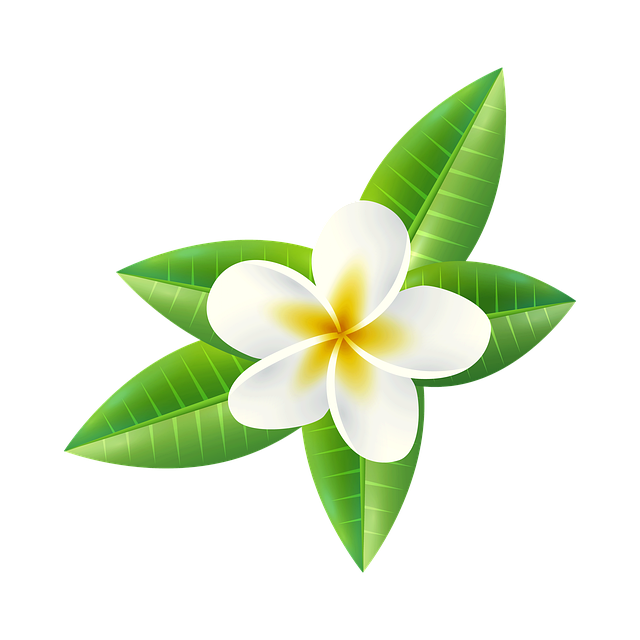 flowers 7659014 640