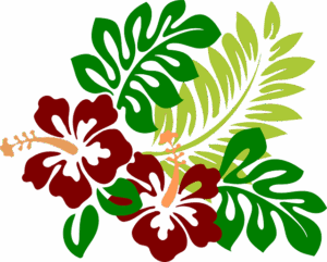 hibiscus 311279 640